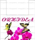 Пакет с изображением орхидеи